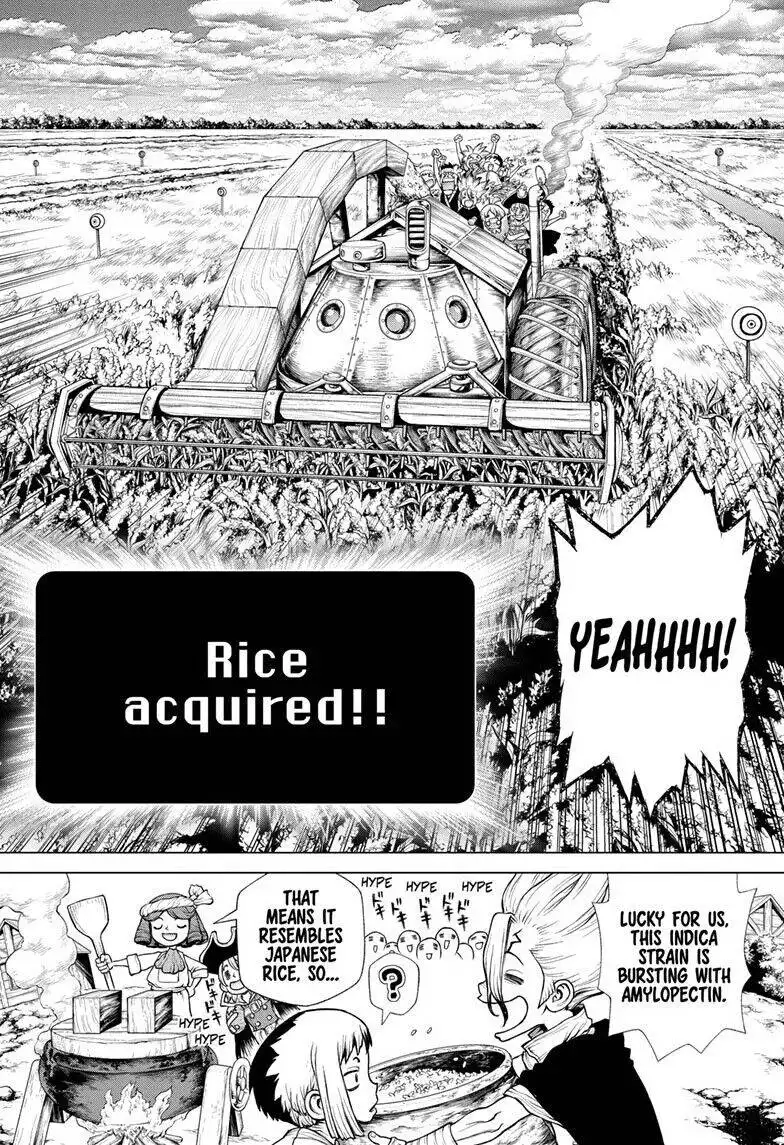 Dr. Stone Chapter 211 16